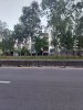 z6515298722805_37fa688160b97d1bb7d81697b84ef533.jpg